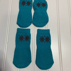 RC Dog Socks